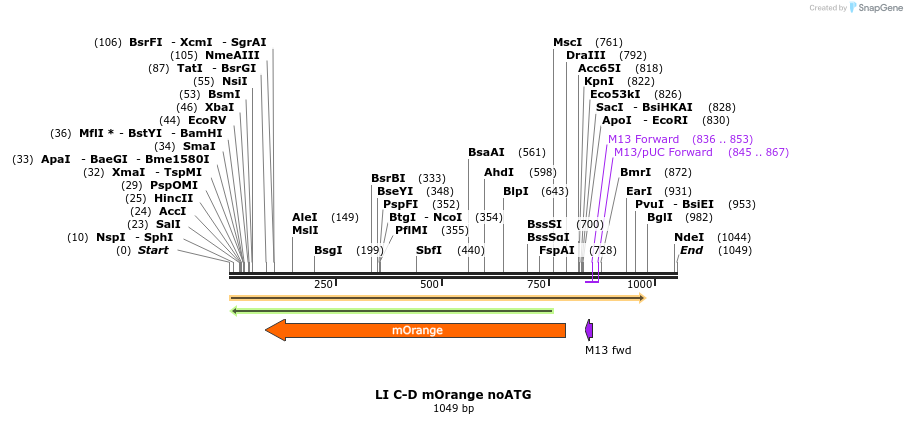 87658_map