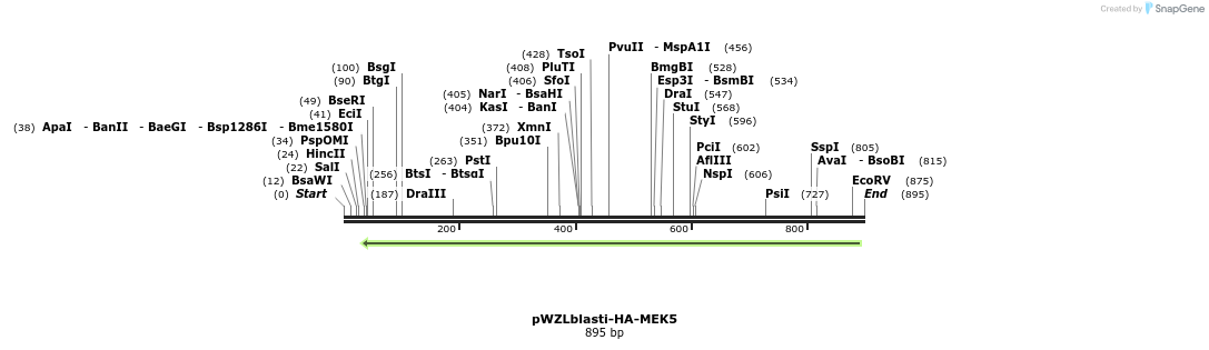 87668_map