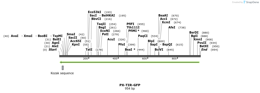 87669_map
