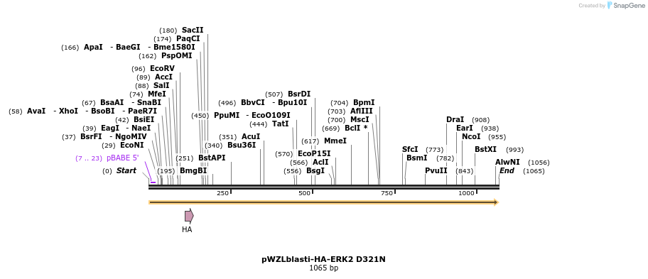87674_map