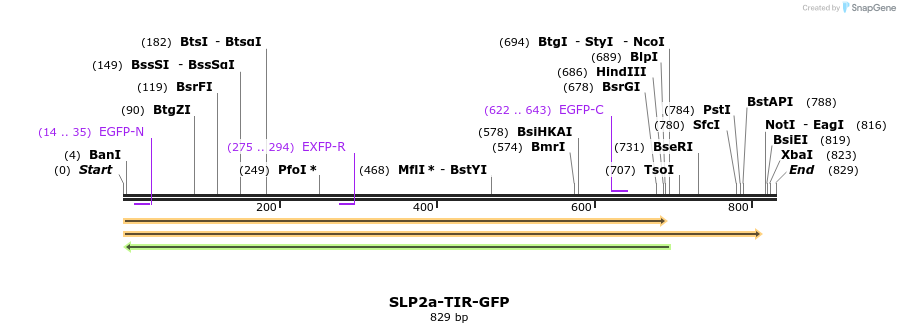87675_map