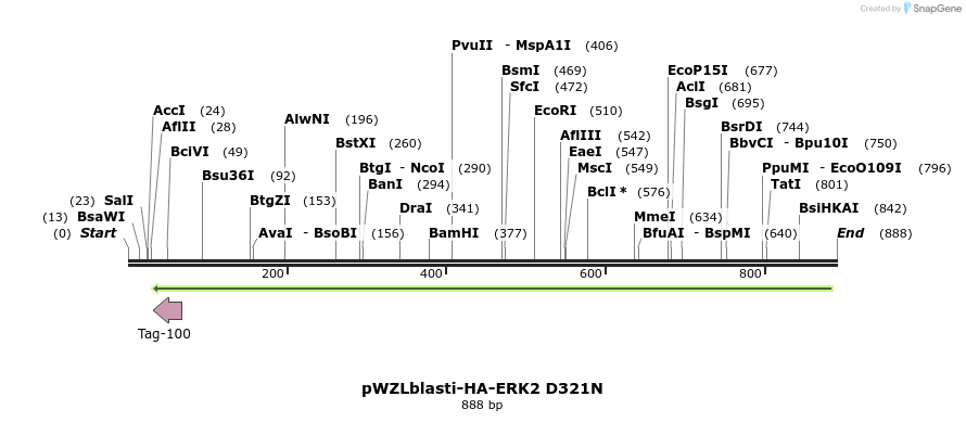 87676_map