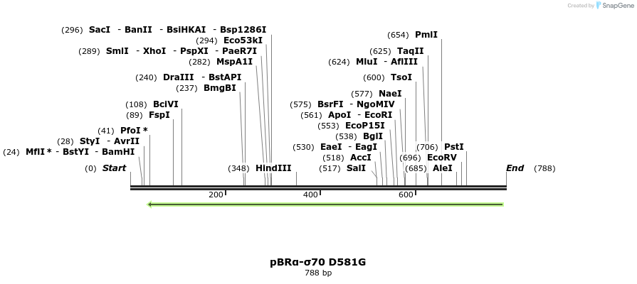 87677_map