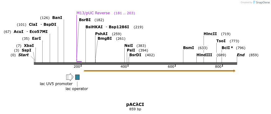 87680_map