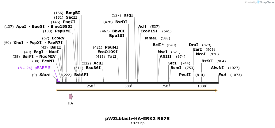 87683_map