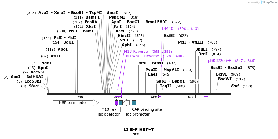 87685_map