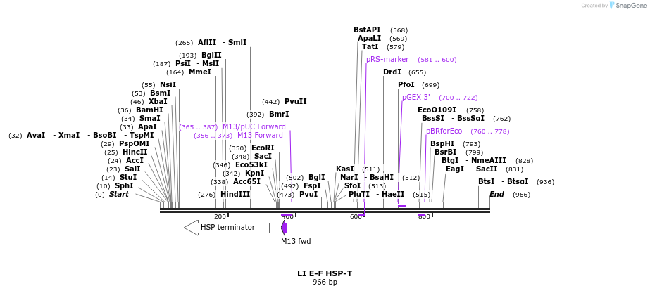 87686_map