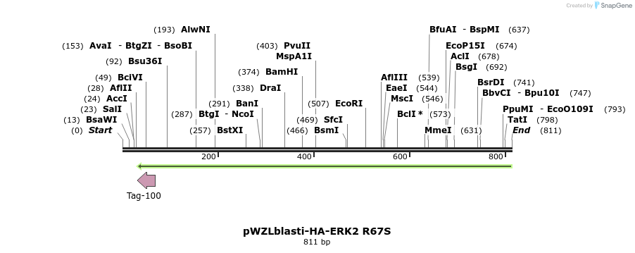 87687_map