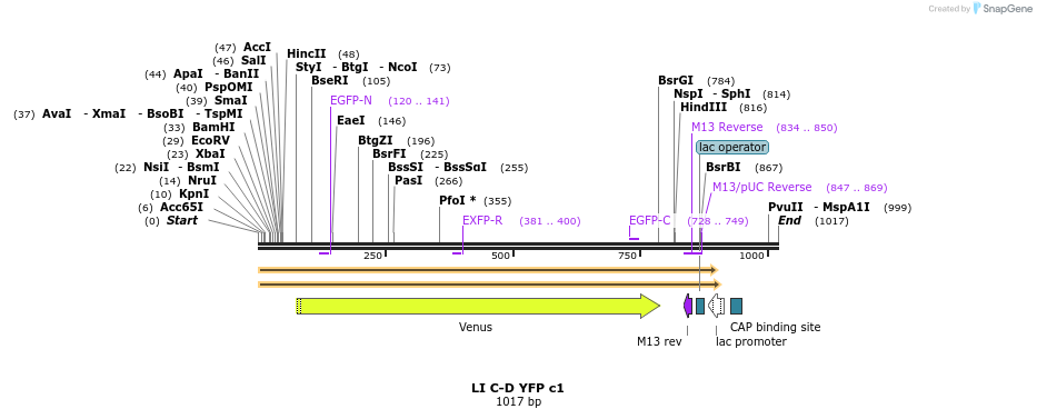 87688_map
