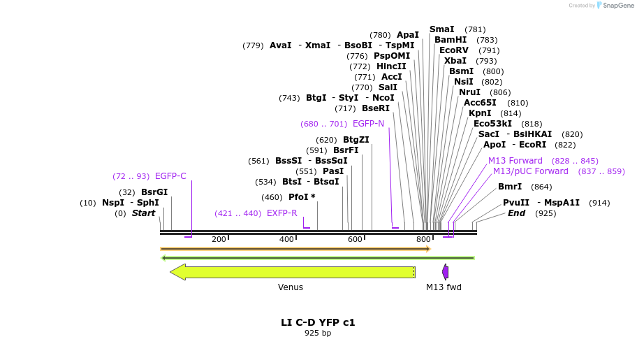 87689_map