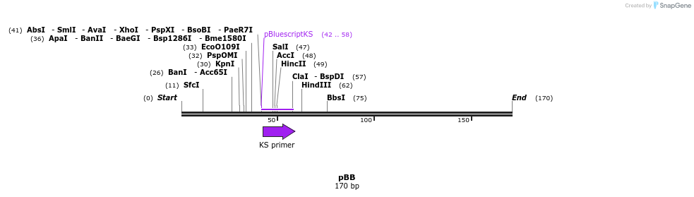 87691_map