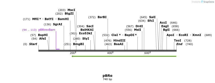 87692_map