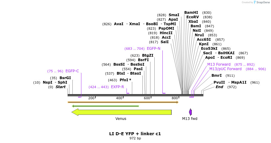 87703_map