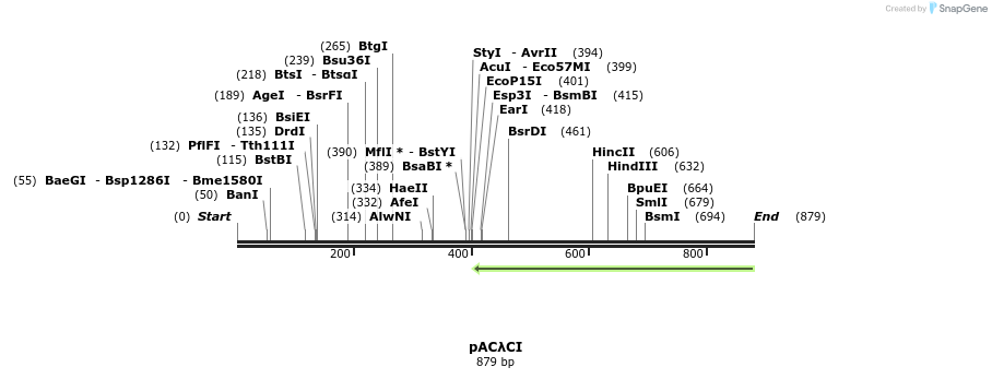 87722_map