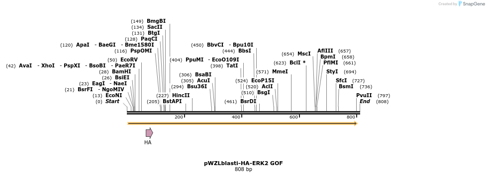 87723_map