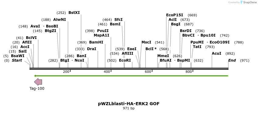 87725_map