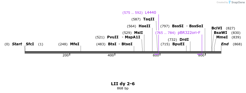 87729_map