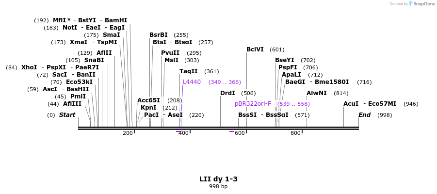 87730_map