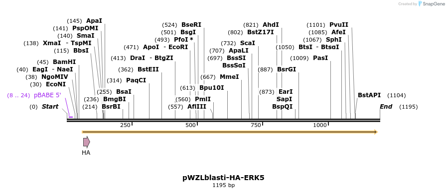 87731_map