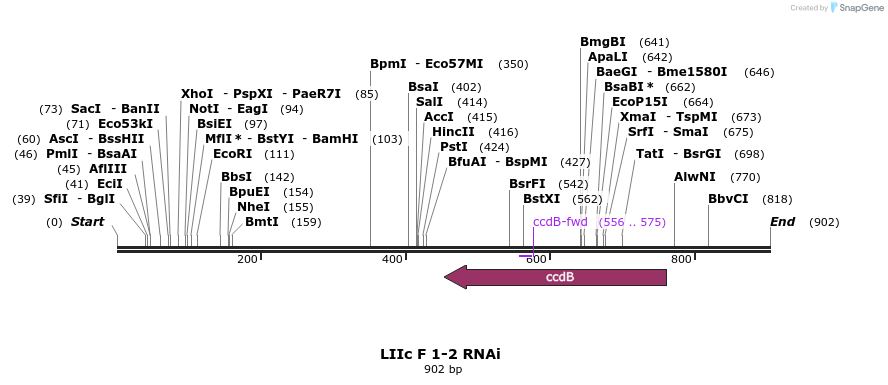 87735_map