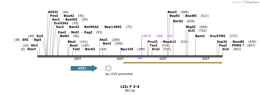 87736_map