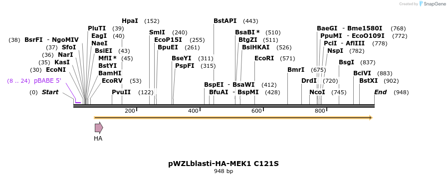 87739_map