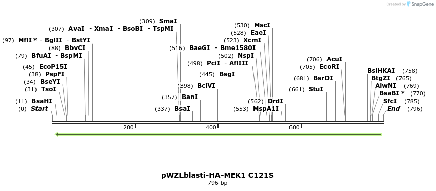87740_map