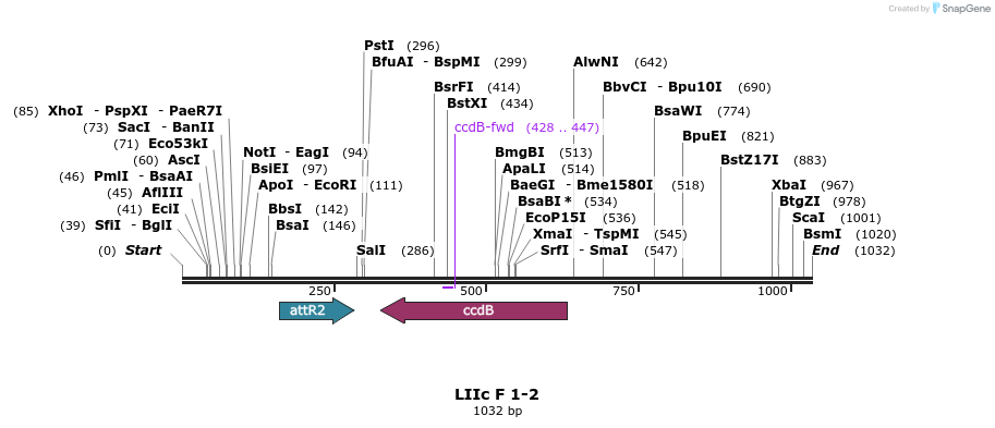 87752_map