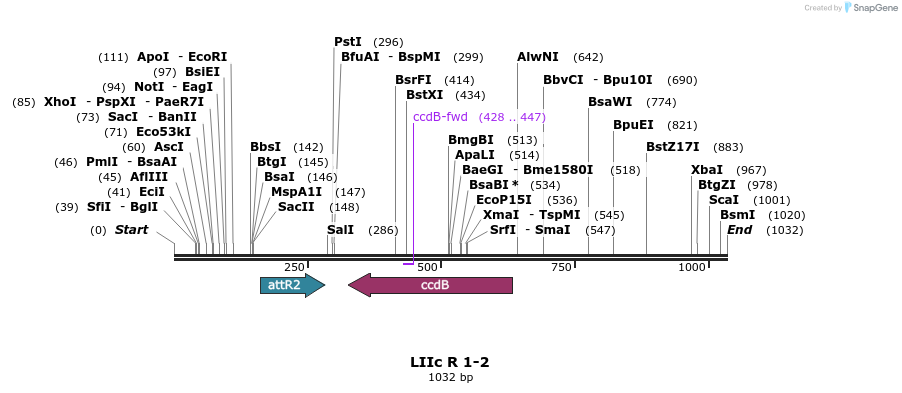 87753_map
