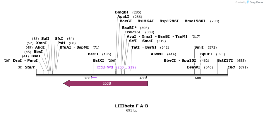 87755_map