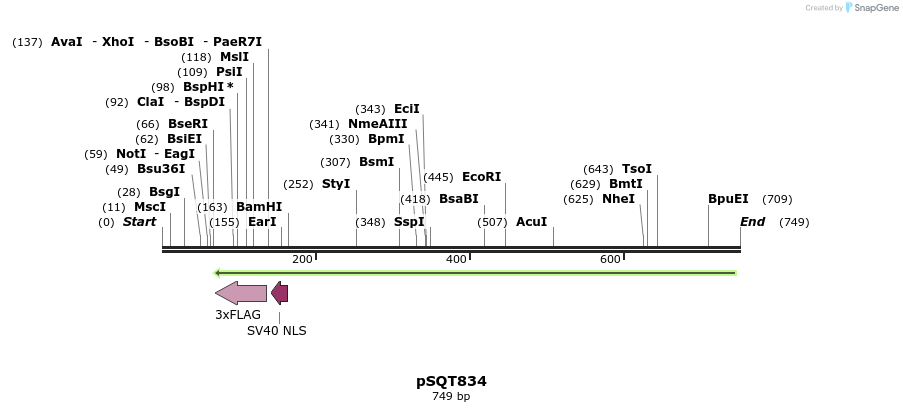 87765_map