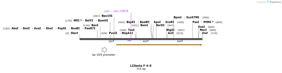 87768_map