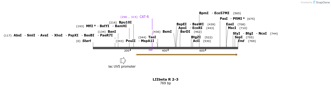87771_map
