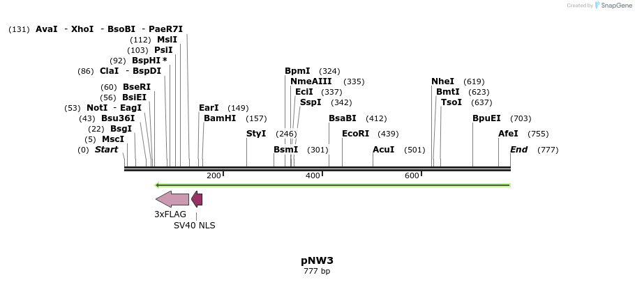 87772_map