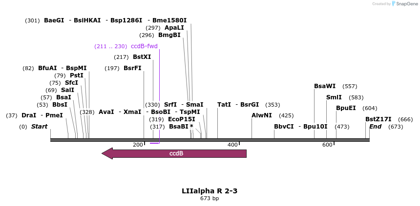 87773_map