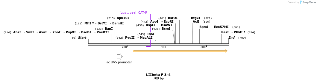 87776_map