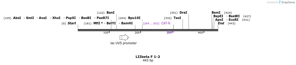 87781_map