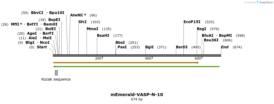 87784_map