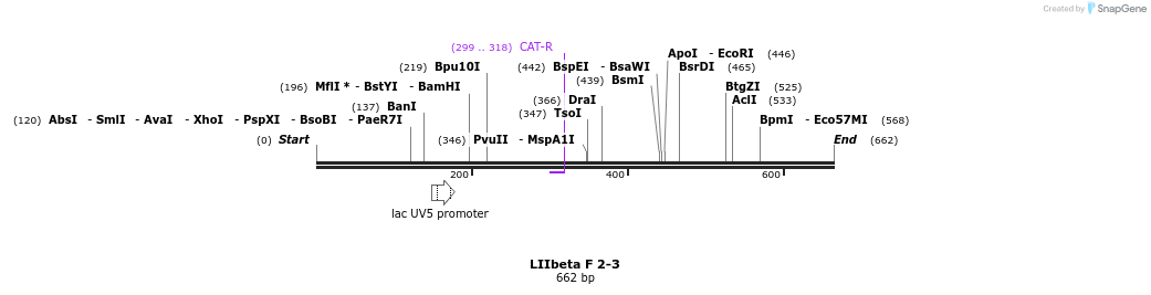 87785_map