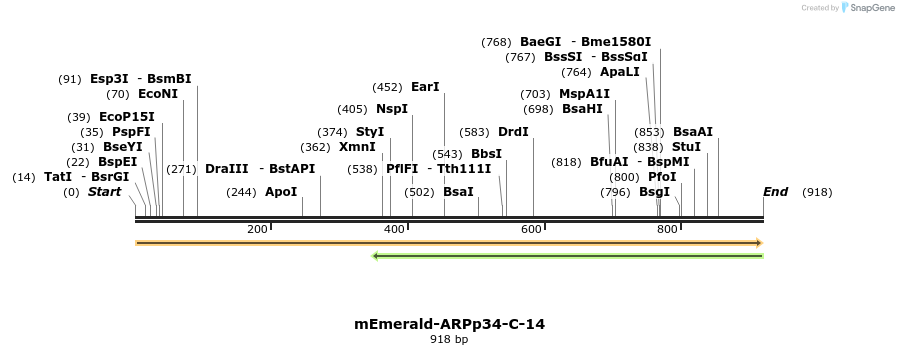 87787_map