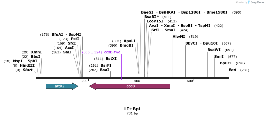 87789_map