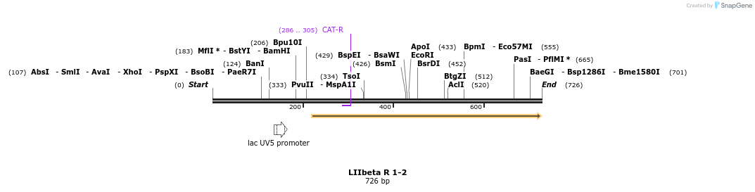 87790_map