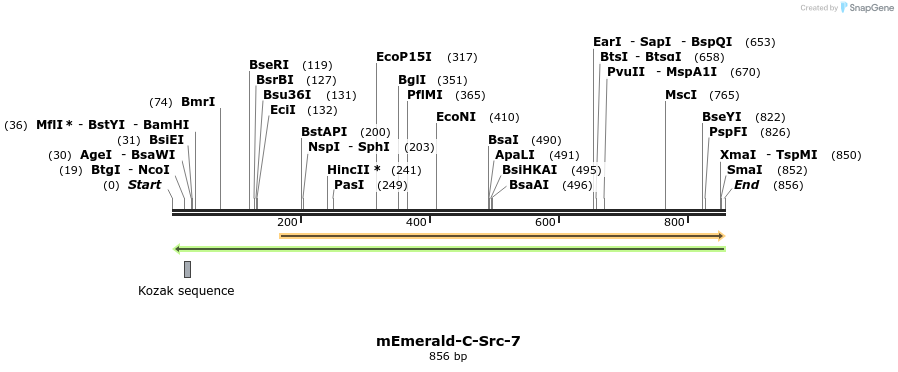 87791_map