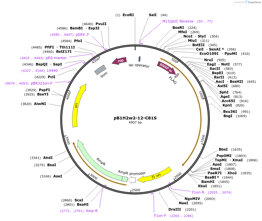 8783_map