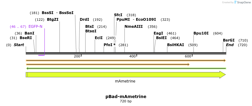 8788_map
