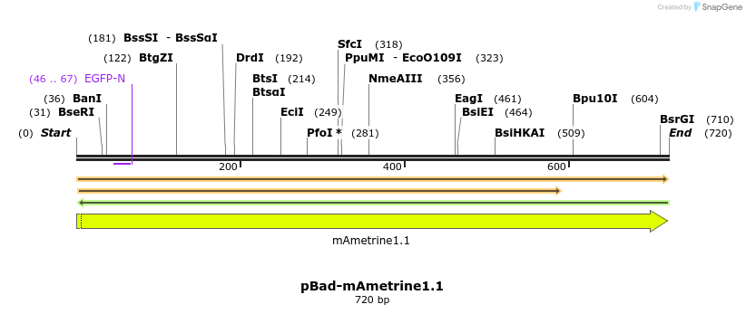 8789_map