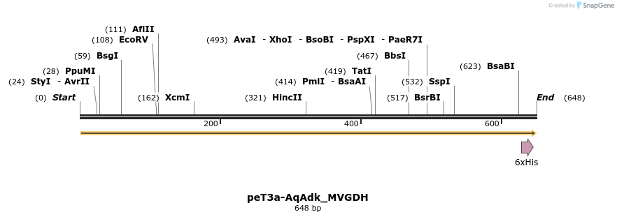8793_map