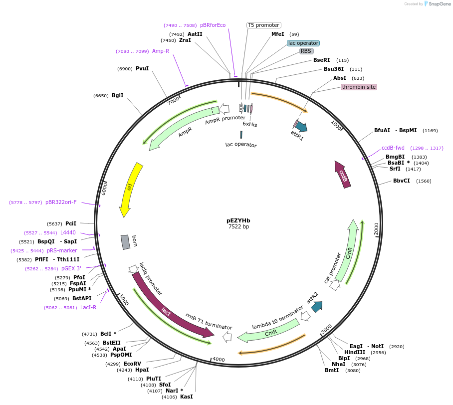 8813_map