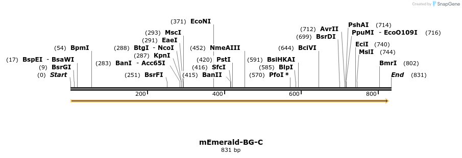 88259_map