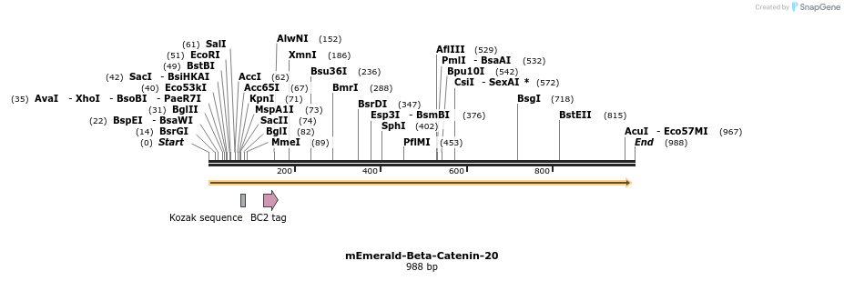 88260_map